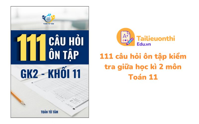 111 câu hỏi ôn tập kiểm tra giữa học kì 2 môn Toán 11